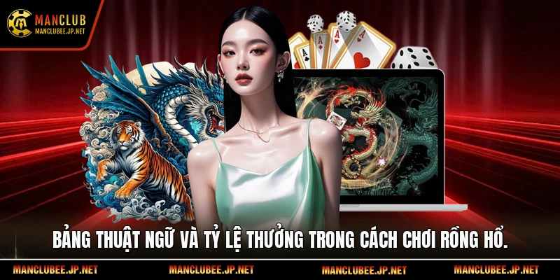 Bảng thuật ngữ và tỷ lệ thưởng trong cách chơi rồng hổ.