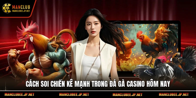 Cách soi chiến kê mạnh trong đá gà casino hôm nay