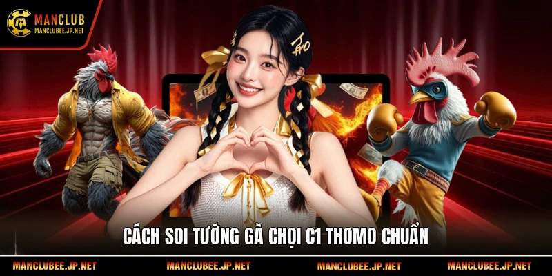 Cách soi tướng gà chọi c1 thomo chuẩn