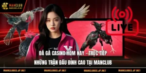 Đá Gà Casino Hôm Nay – Trực Tiếp Những Trận Đấu Đỉnh Cao Tại Manclub