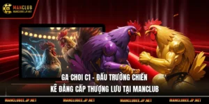 Ga choi c1 – Đấu Trường Chiến Kê Đẳng Cấp Thượng Lưu Tại Manclub
