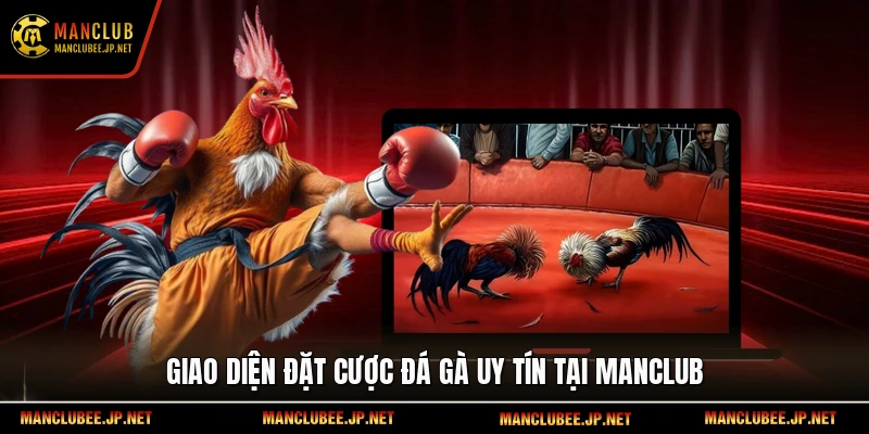 Giao diện đặt cược đá gà uy tín tại Manclub