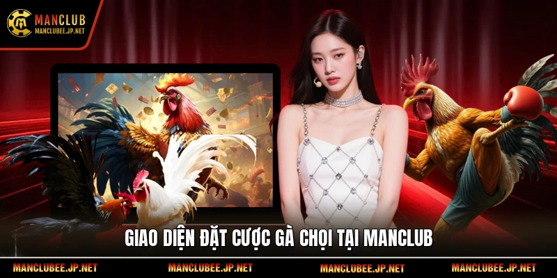 Giao diện đặt cược gà chọi tại Manclub
